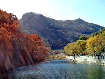 管家婆黑白马报图库，九转灵葫